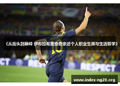 《从街头到巅峰 伊布拉希莫维奇亲述个人职业生涯与生活哲学》 《从街头到巅峰 伊布拉希莫维奇亲述个人职业生涯与生活哲学》