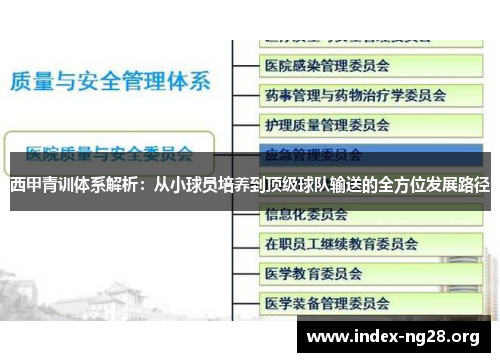西甲青训体系解析:从小球员培养到顶级球队输送的全方位发展路径 西甲青训体系解析:从小球员培养到顶级球队输送的全方位发展路径