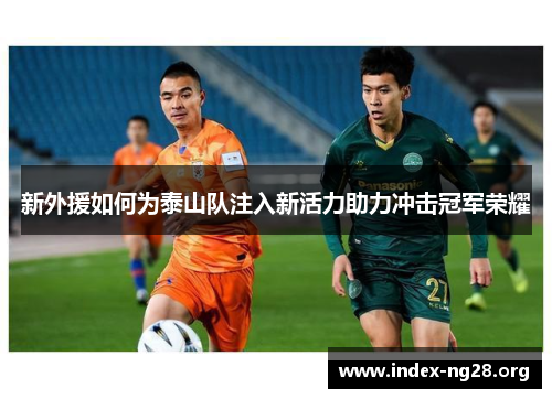 新外援如何为泰山队注入新活力助力冲击冠军荣耀 新外援如何为泰山队注入新活力助力冲击冠军荣耀