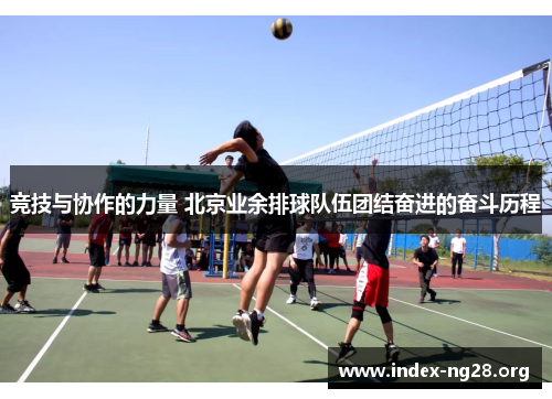 竞技与协作的力量 北京业余排球队伍团结奋进的奋斗历程 竞技与协作的力量 北京业余排球队伍团结奋进的奋斗历程