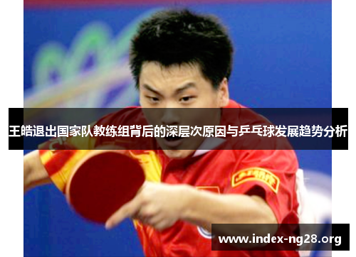 王皓退出国家队教练组背后的深层次原因与乒乓球发展趋势分析 王皓退出国家队教练组背后的深层次原因与乒乓球发展趋势分析