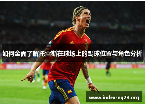 如何全面了解托雷斯在球场上的踢球位置与角色分析 如何全面了解托雷斯在球场上的踢球位置与角色分析