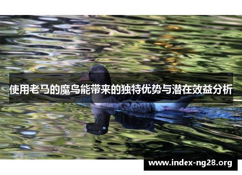 使用老马的魔鸟能带来的独特优势与潜在效益分析