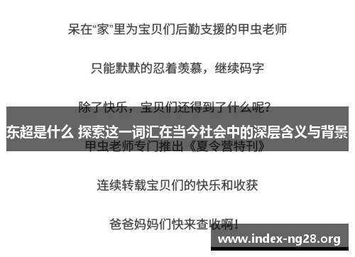 东超是什么 探索这一词汇在当今社会中的深层含义与背景